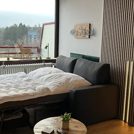 Panoramablick Hahnenklee Apartment