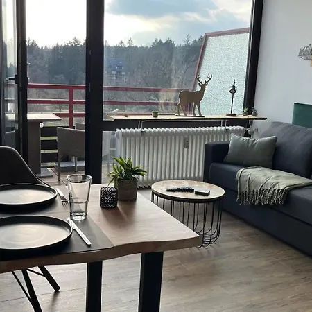 Panoramablick Hahnenklee Apartment *