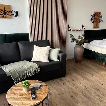 Panoramablick Hahnenklee