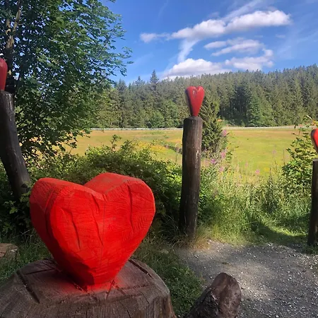 Panoramablick Hahnenklee Lägenhet *