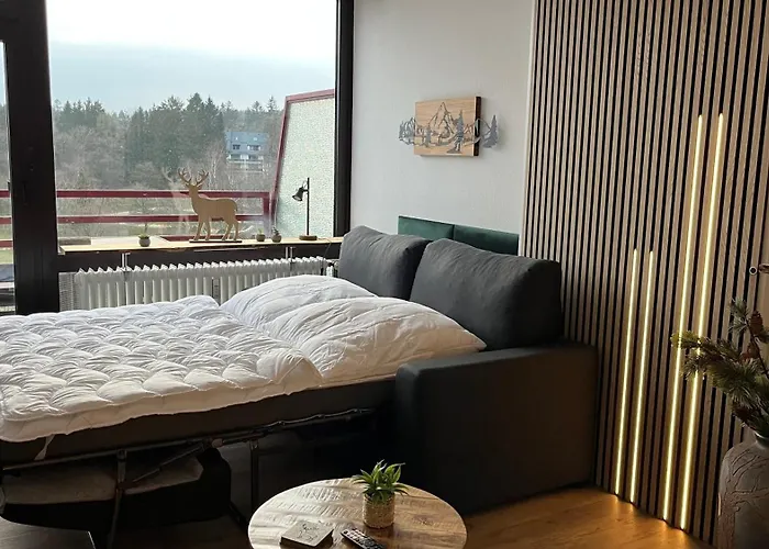 Panoramablick Hahnenklee Daire