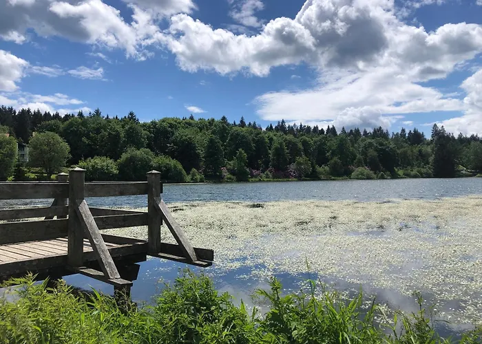 Panoramablick Hahnenklee Goslar