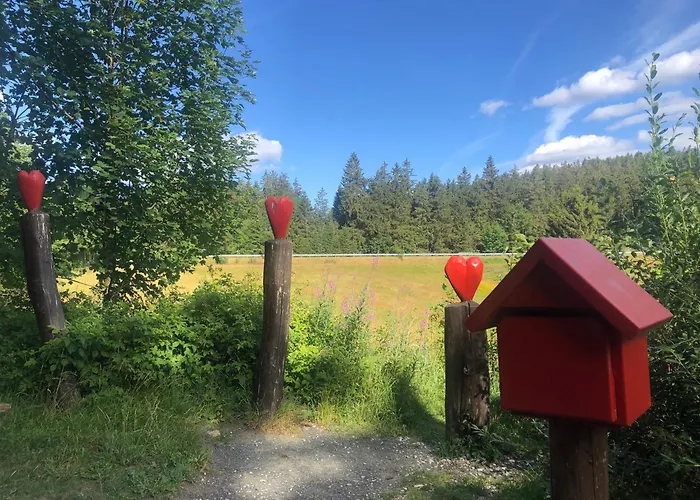 Daire Panoramablick Hahnenklee Goslar