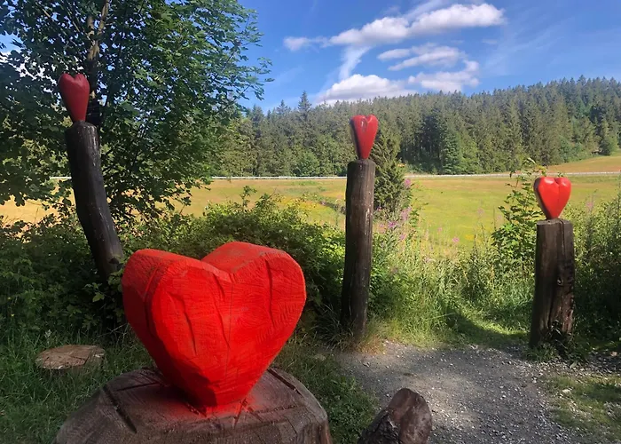 Panoramablick Hahnenklee Daire *